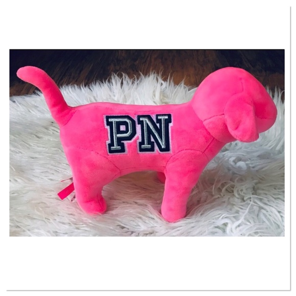 Victoria’s Secret PINK Plush Large Dog Hot Pink Embroidered Details - Picture 2 of 10